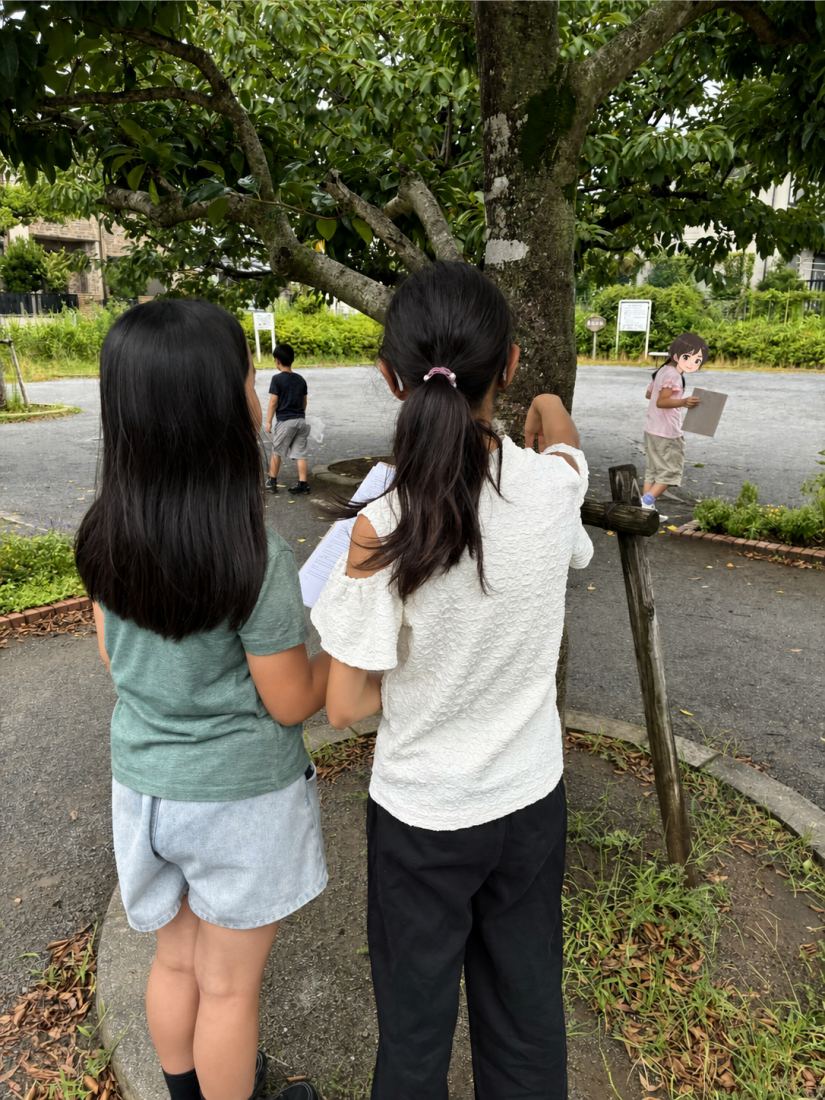 公園の自然を観察する生徒たち